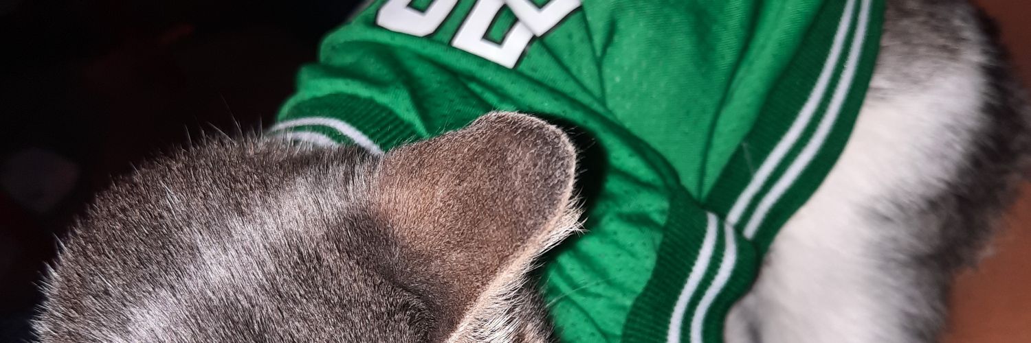 𝕯yosa Tatum 🖤 banner