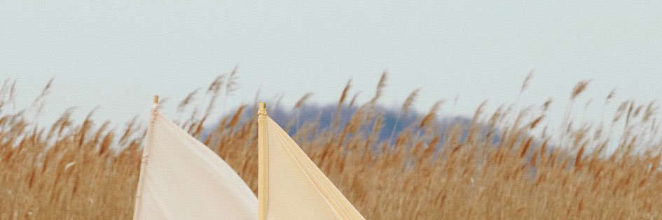monamijaa's profile banner image