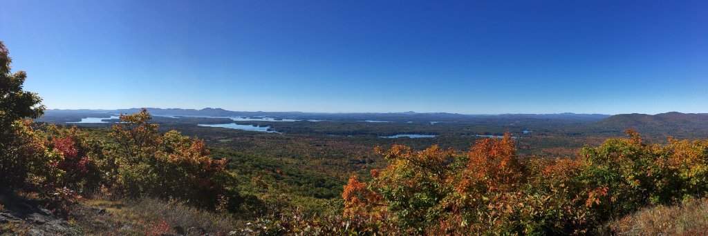 Allyson Doherty banner