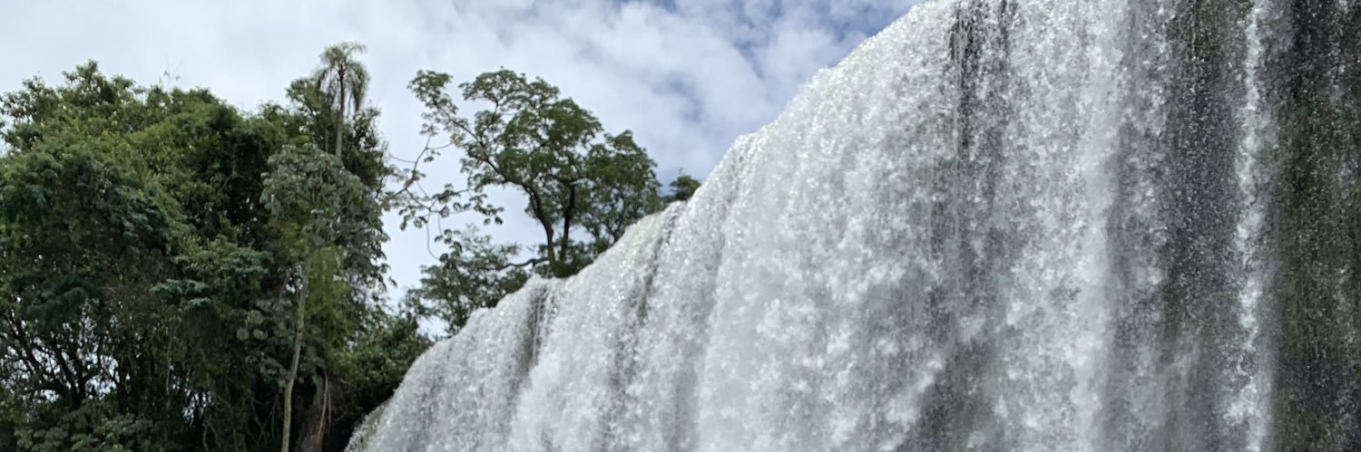 Giovanni Gatto banner