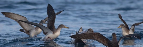 Andres_dlaC Profile Banner