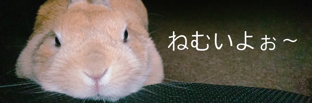 komugiii326's profile banner image