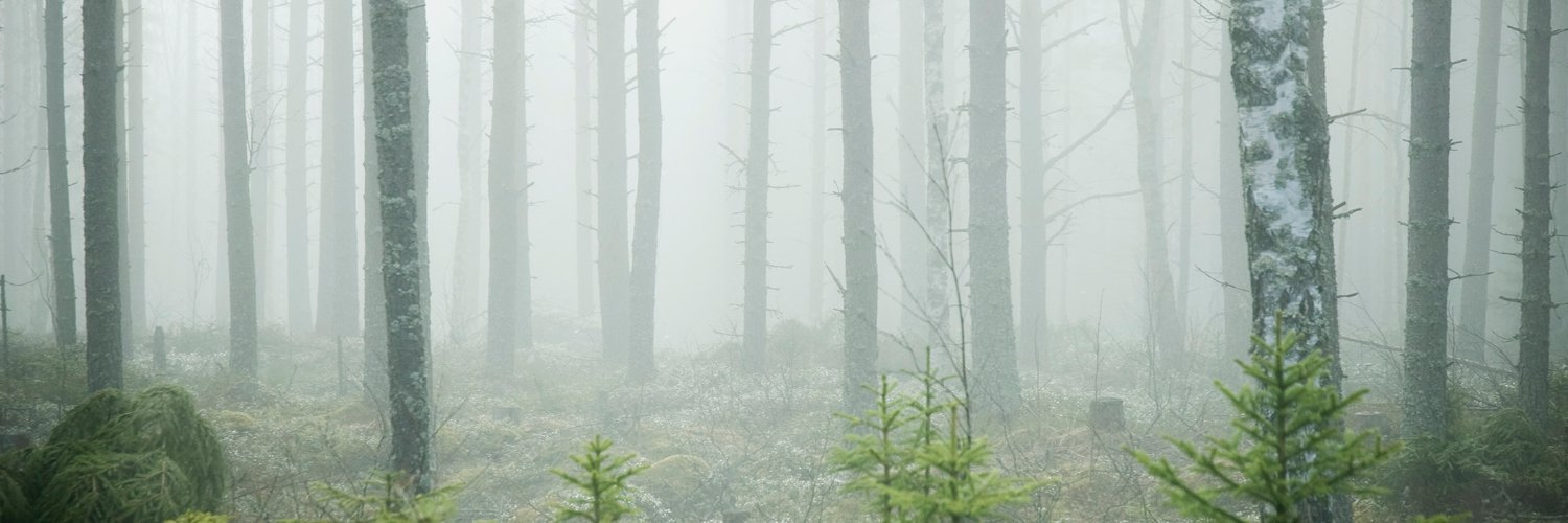 FriField's profile banner image