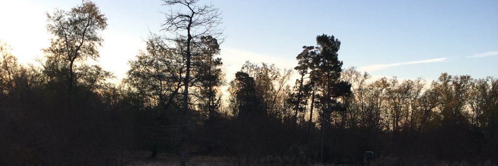 timothyrocka's profile banner image