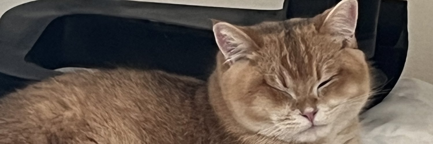 ades_ades_'s profile banner image