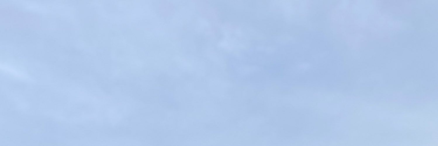 1onelastcry's profile banner image