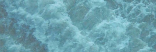 MaximoBarrett's profile banner image