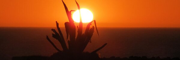 encovert Profile Banner