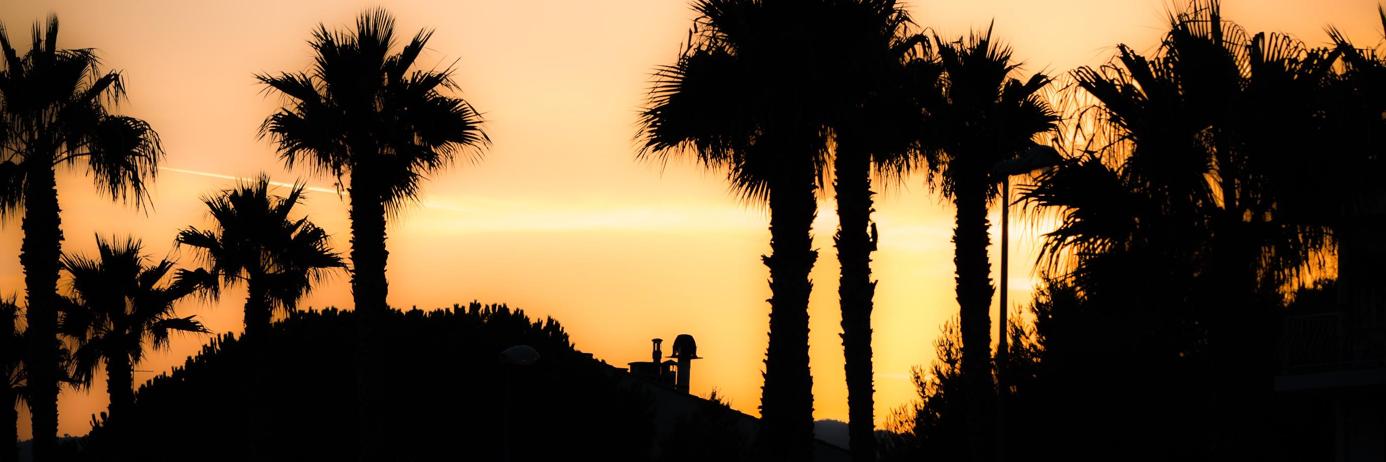 Floreamat's profile banner image
