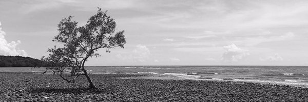 qtbnny12 Profile Banner