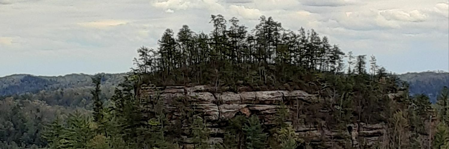 ColliverDaniel's profile banner image