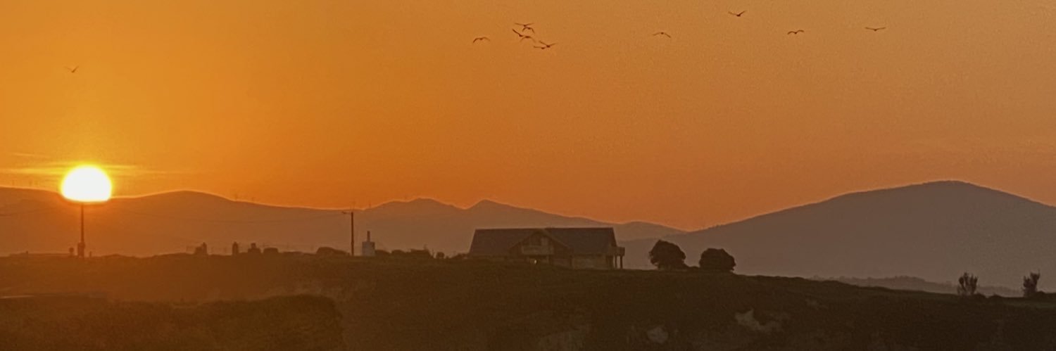 anavazquez__'s profile banner image