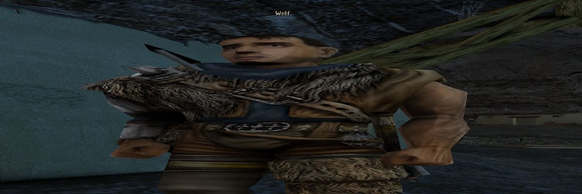 Wolf der Poke-Söldner banner