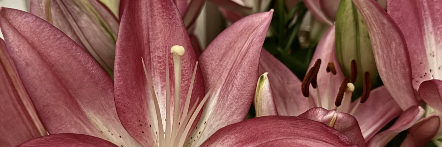 ilyadacyress's profile banner image