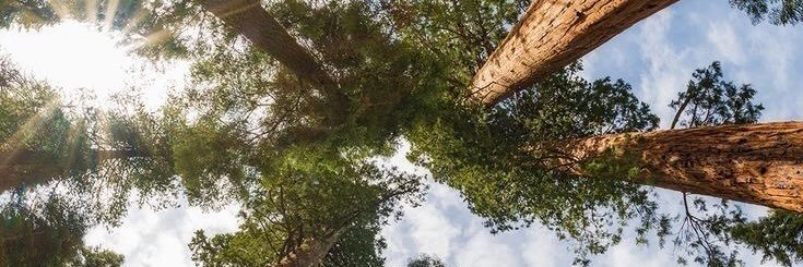 itsheizal's profile banner image