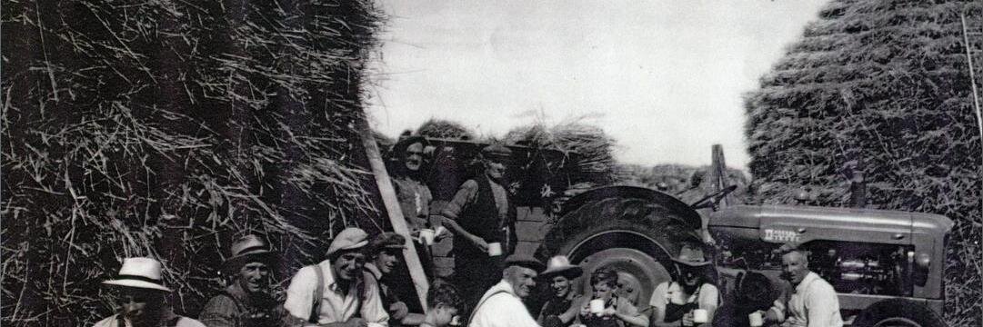 summer_harvest's profile banner image