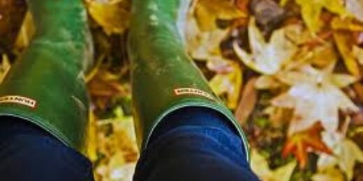 weberannette's profile banner image