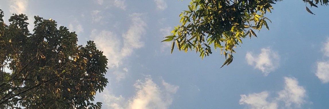 Fernanda banner