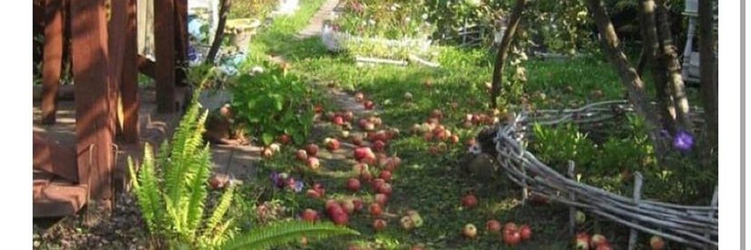 Свой парень banner