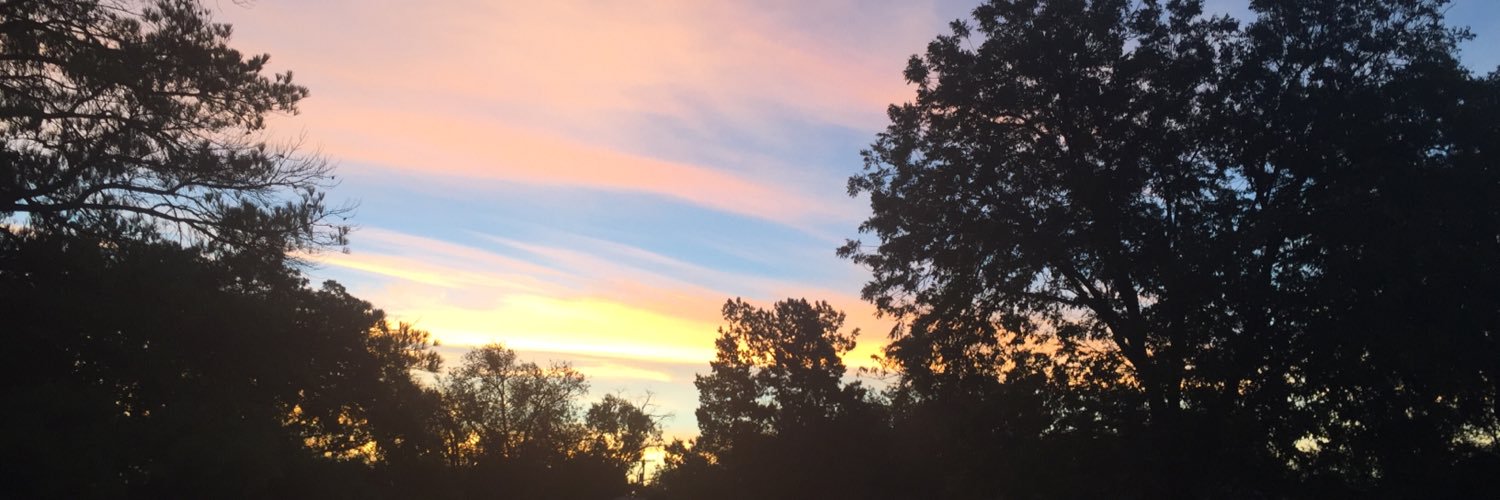 EHBtexas's profile banner image