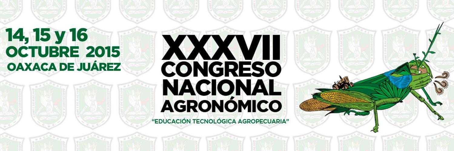 agronnochixtlan's profile banner image