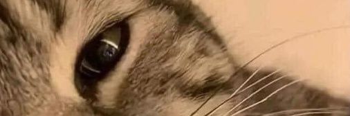 ΔLVАRØ banner