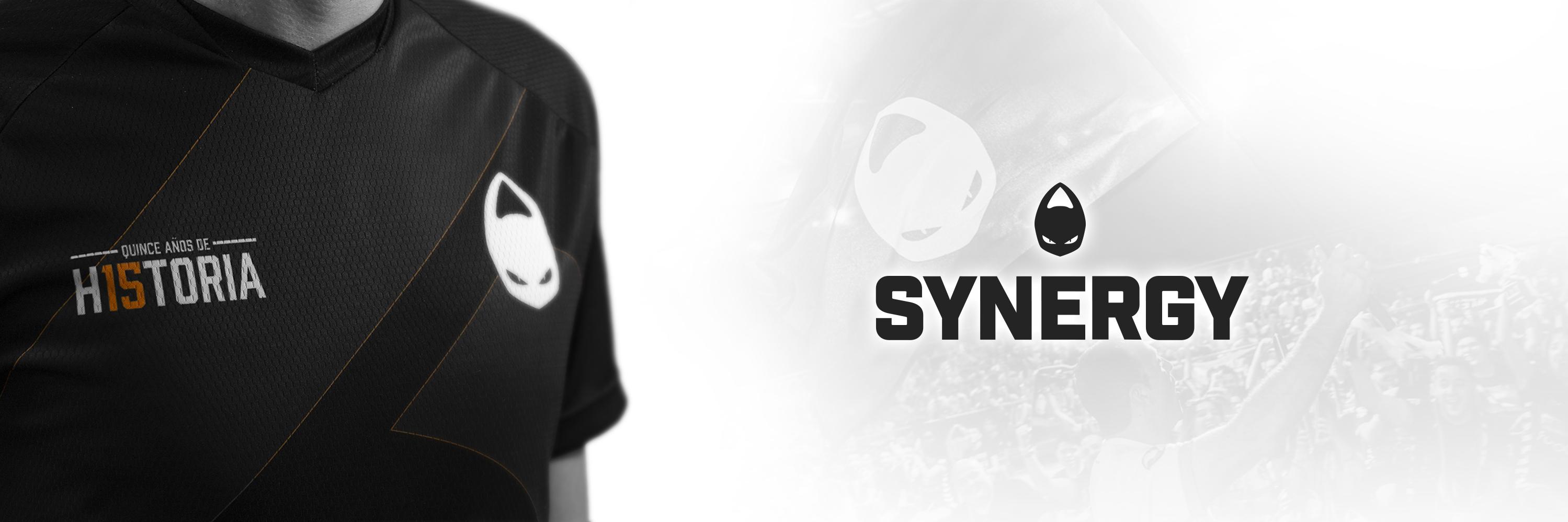Synergy | B.S. banner