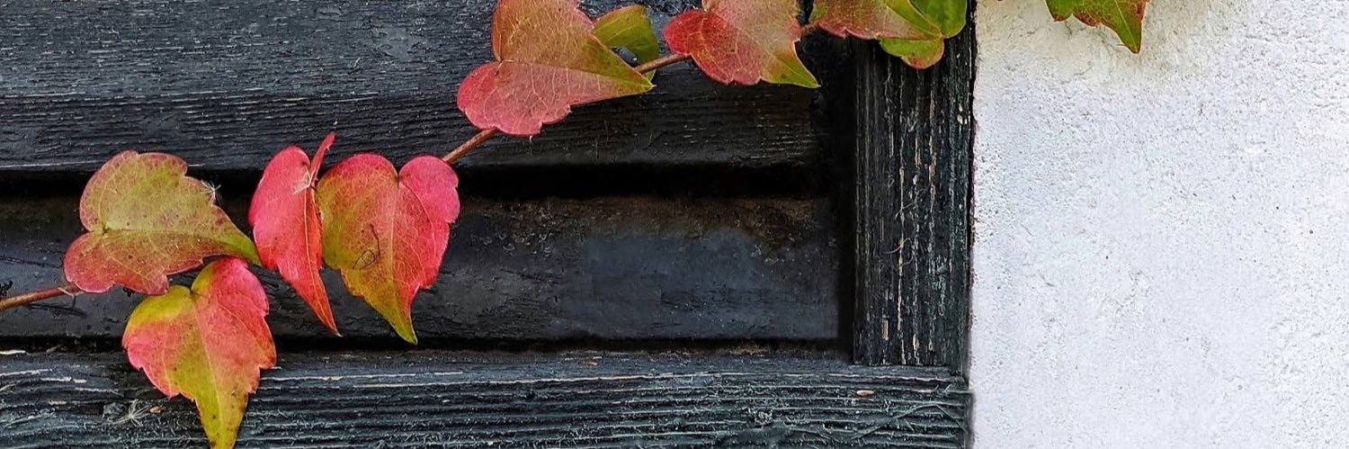 omakzer's profile banner image