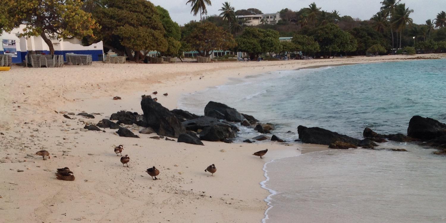 Ginolives's profile banner image