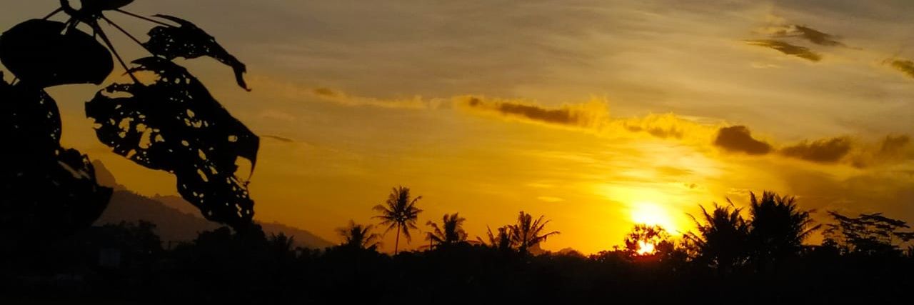 kikoandreana's profile banner image