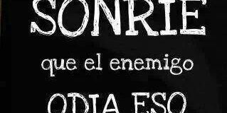 fatima_elcerro's profile banner image