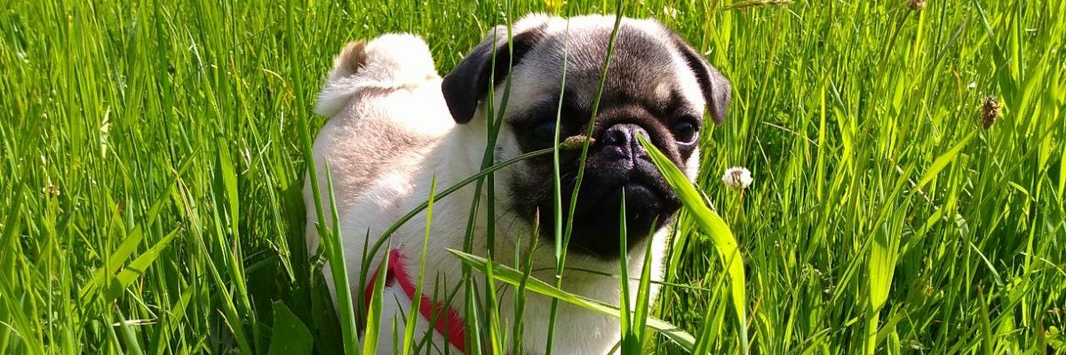 MarcosPRubio's profile banner image