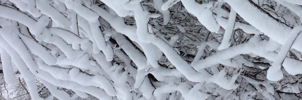 OREMATORONTO's profile banner image
