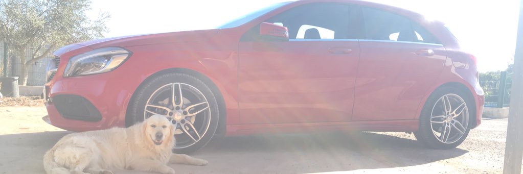 rbsborja69's profile banner image