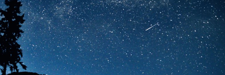 gossipsanfran's profile banner image