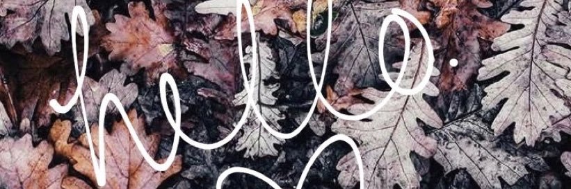 corrineileen24's profile banner image