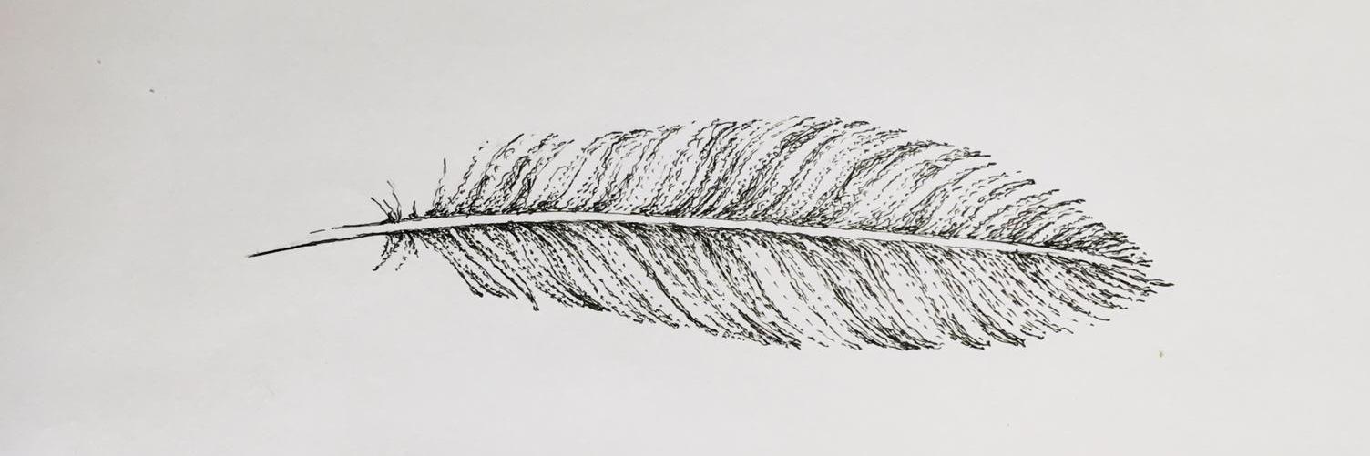 literatuurcoach's profile banner image