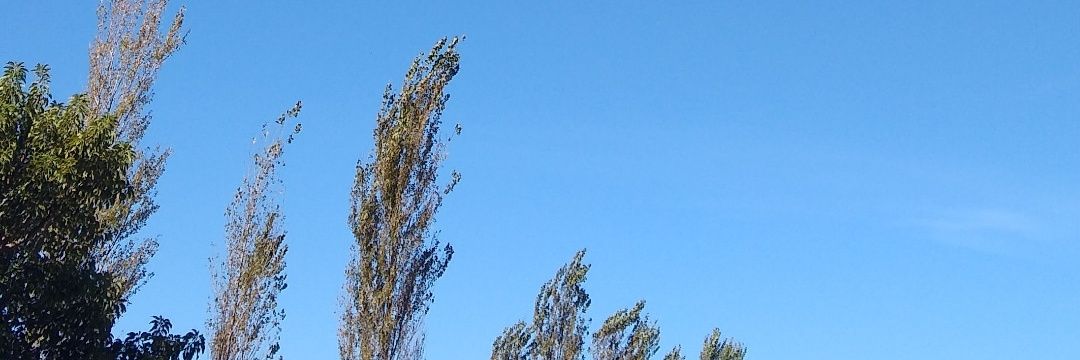 Alemagallanes4's profile banner image