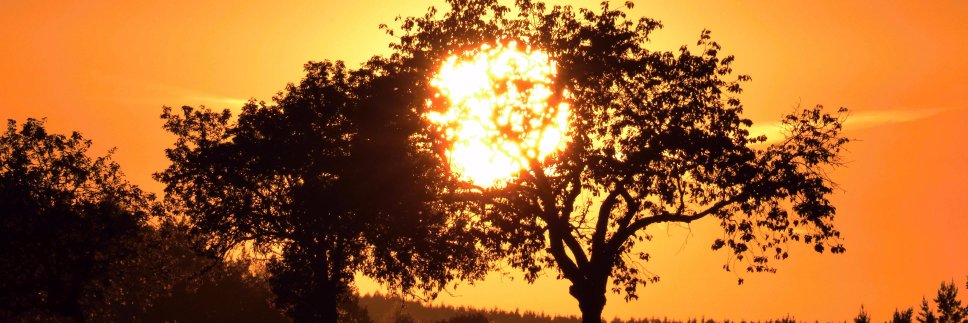 MiloslavChum's profile banner image