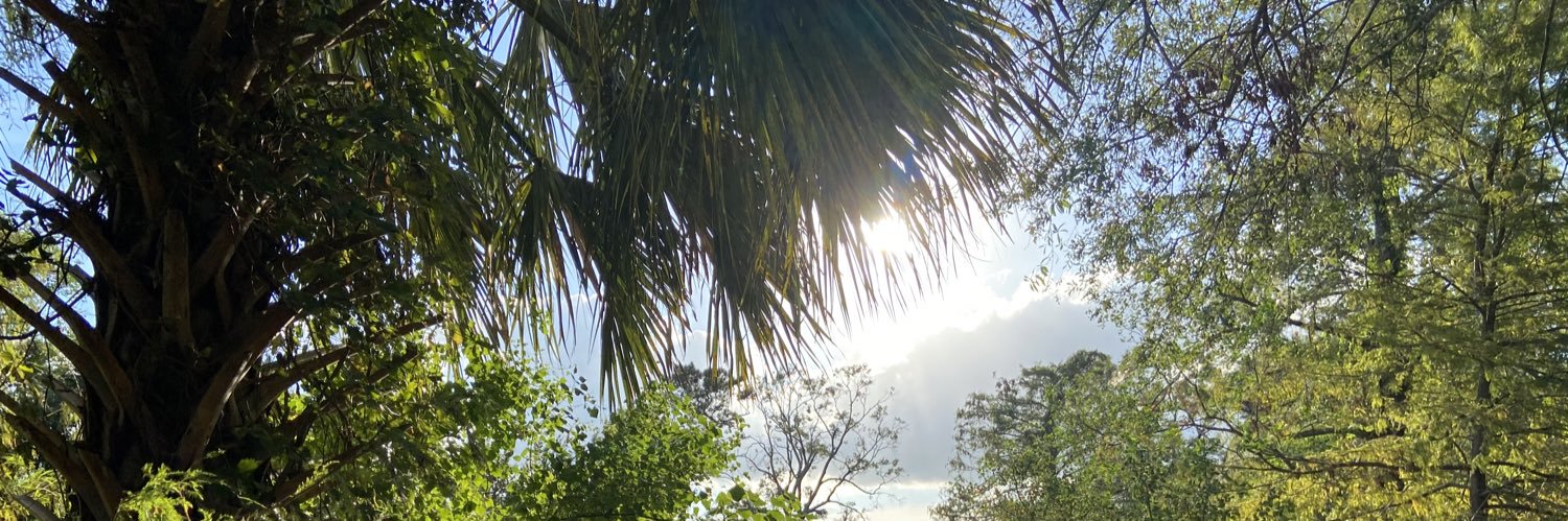 Ashley Hopkinson banner