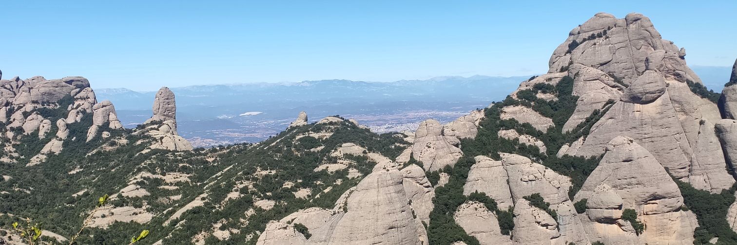 santsenc catala banner