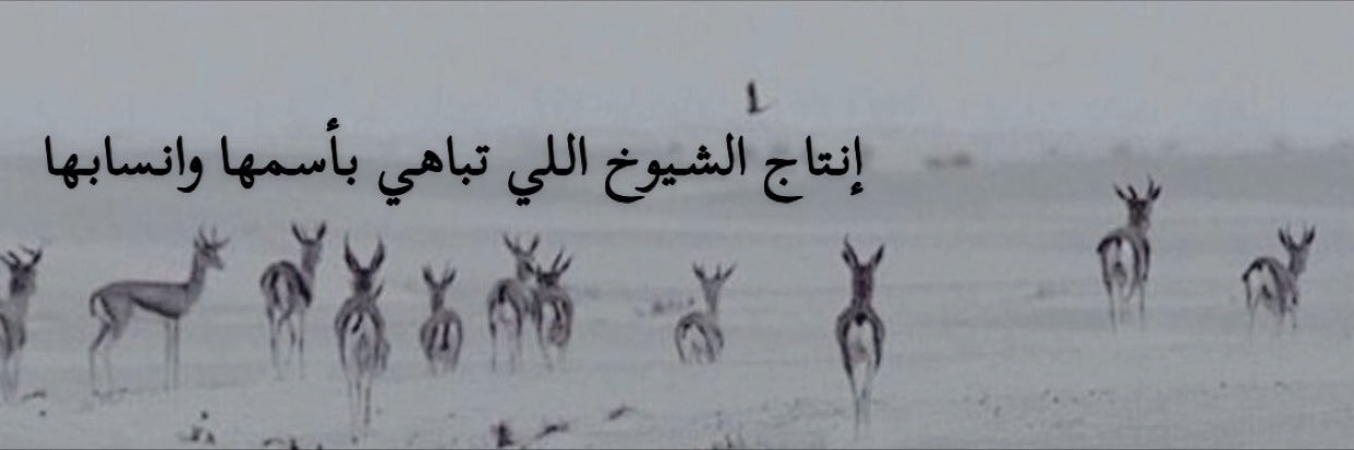 100___ss's profile banner image