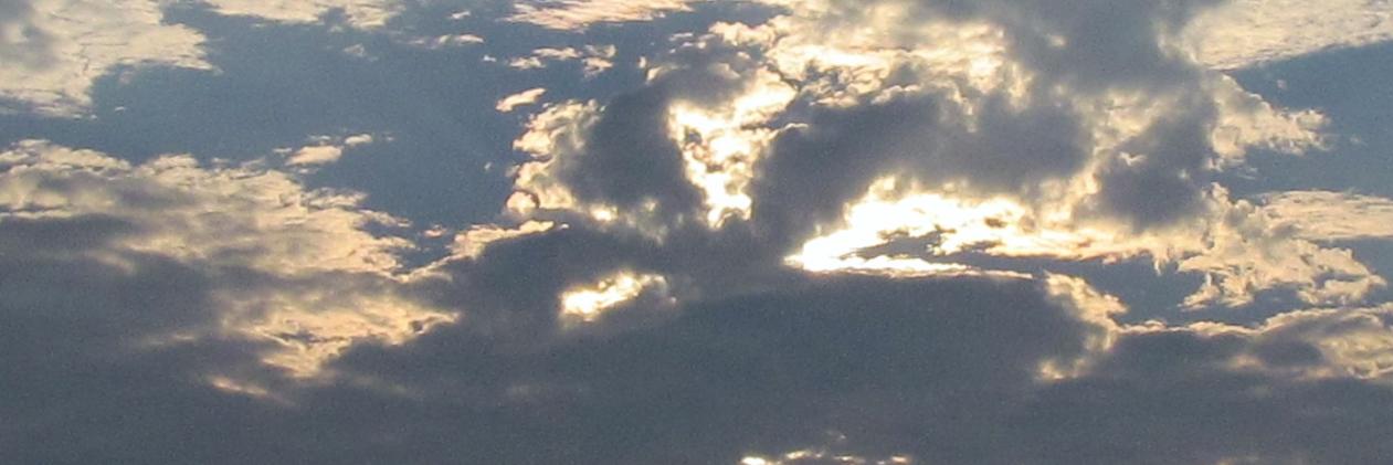 Maryandering's profile banner image