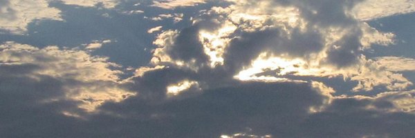 Maryandering Profile Banner