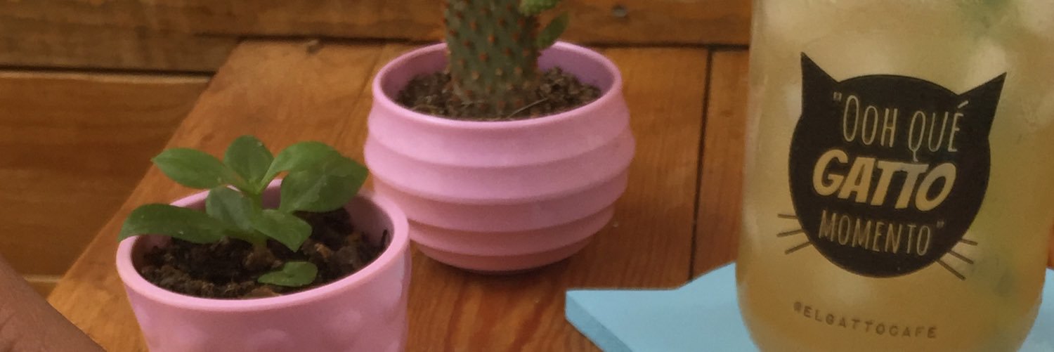 ElGattoCafe's profile banner image