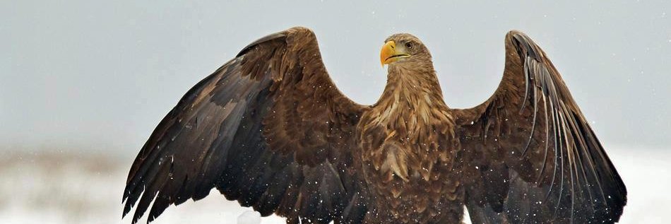 uLaK678's profile banner image
