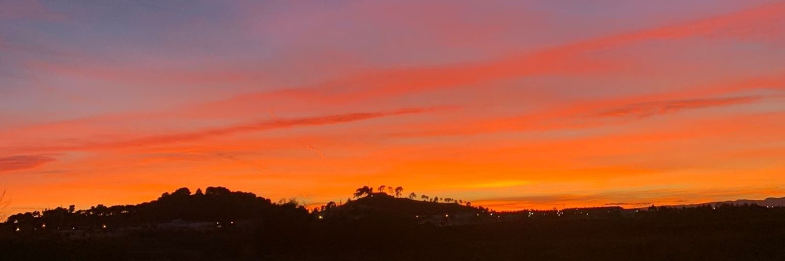 anna 🌞 banner