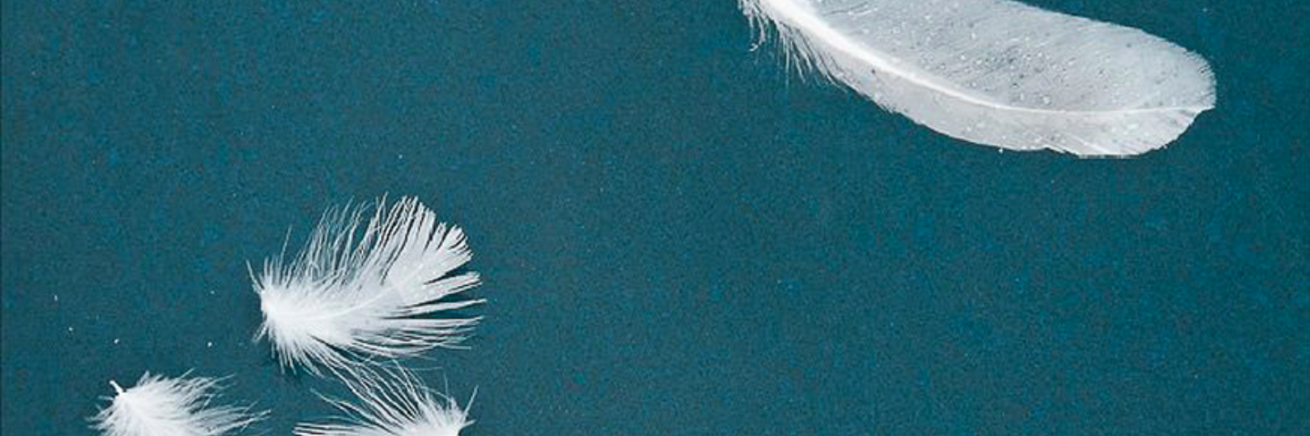 ShambhalaTimes's profile banner image