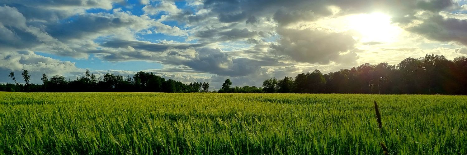 carlhevi's profile banner image