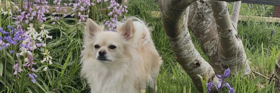 Daisy Sutherland👸🏽 banner